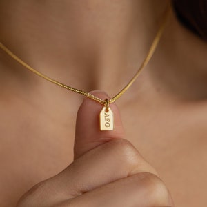 Collar con placa de identificación de Caitlyn Minimalist • Collar con inicial personalizada • Collar con placa de identificación • Regalo para tu mejor amiga • NM137NIF33