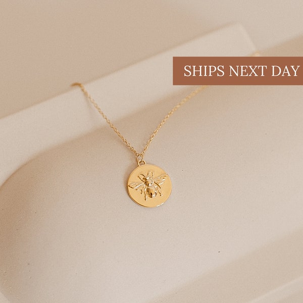 Bijenketting met munthanger • Honingbijketting • Bijensieraden • Minimalistische muntketting • Cadeaus bruidsmeisje • Cadeau voor haar • NR022