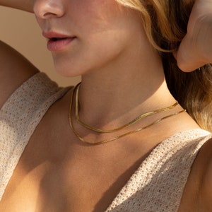 Duo Chain Herringbone Necklace by Caitlyn Minimalist Layered Box Chain Necklace Set, Perfect Everyday Jewelry Gift for Her NR166 image 3