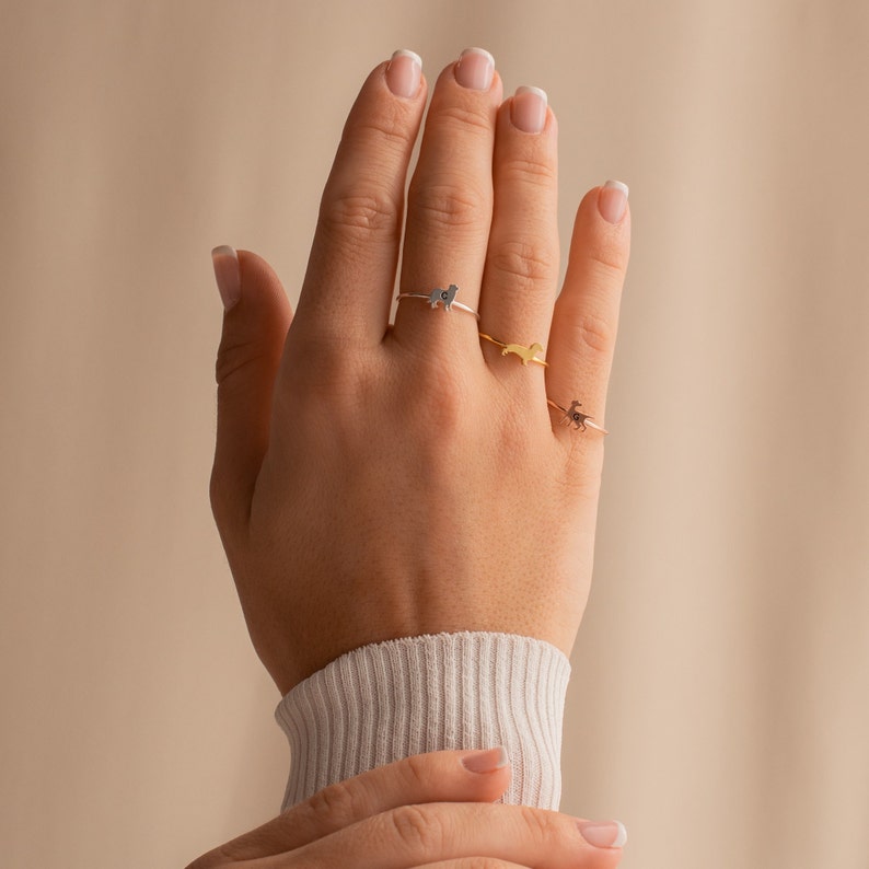 Personalisierter Haustierring von Caitlyn Minimalist Erinnerungsgeschenk für Tierliebhaber Beileidsgeschenk Stapelbarer gravierter Tier-Initialenring RM47F77 Bild 8