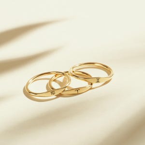Anillo del zodiaco de CaitlynMinimalist • Joyas del zodiaco personalizadas en plata esterlina y oro • Regalo de cumpleaños para ella • RM21F31