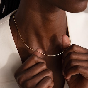 Essentielle Fischgrät-Halskette von Caitlyn Minimalist • Zarte Halskette für jeden Tag • Mehrlagige Goldkette • Perfektes Geschenk für die beste Freundin • NR323