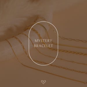 Mystery Bracelet by Caitlyn Minimalist • Dainty Minimalist Bracelets • Tennis, Rope, Figaro Chains in Gold & Silver • Birthday Gift • BR071