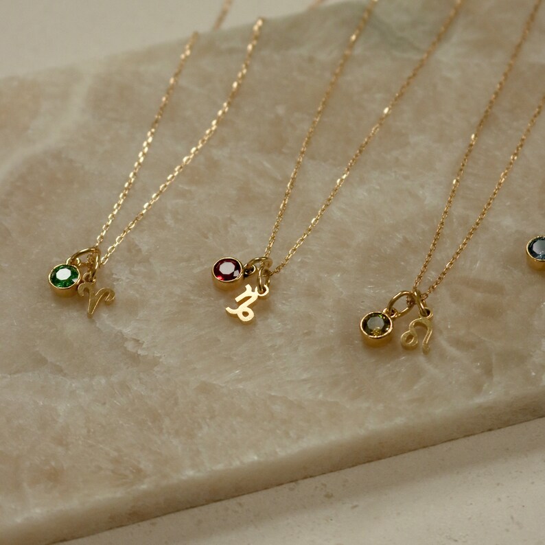 Zodiac Birthstone Necklace by Caitlynminimalist Zodiac Etsy