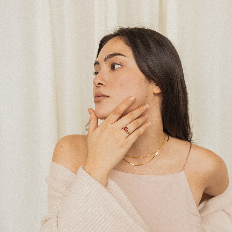 Garnet Signet Ring by Caitlyn Minimalist in Gold  Gemstone image 7