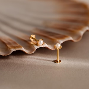 Tiny Pearl Flat Back Studs by Caitlyn Minimalist • Dainty Bridal Pearl Earrings • ER853