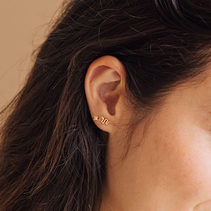 Python Dainty Snake Studs van Caitlyn Minimalist • Opvallende oorbellen in goud en zilver • Perfect cadeau voor dierenliefhebbers • ER244
