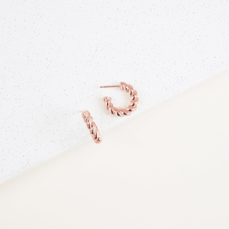 Vet gedraaide hoepels in goud Minimalistische oorbellen Moderne dikke hoepels Perfect cadeau voor haar ER013 ROSE GOLD