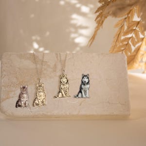 Collar con retrato personalizado de mascota • Joyería conmemorativa para mascotas • Collar grabado para perro o gato • Regalo conmemorativo por la pérdida de una mascota • Regalo para él • NM41