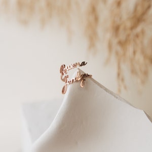 Double Name Ring Two Name Ring in Sterling Silver, Gold and Rose Gold Personalized Gift For Mom Best Friend Gift RM75F68 image 7