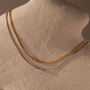 May include: Two delicate necklaces, one gold and one silver, displayed on a neutral-toned bust. Each necklace features a small knot detail. The gold necklace is positioned slightly above the silver one, creating a layered effect. Jewelry.