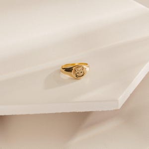 Pet Photo Signet Ring by Caitlyn Minimalist • Custom Engraved Jewelry • Personalized Stacking Ring • Meaningful Dog or Cat Owner Gift • RM77 image 6