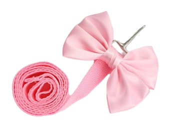 Pink nylon bow leash.