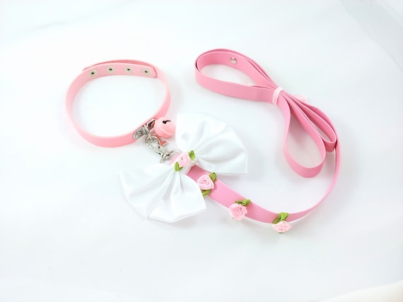 pink leash and collar