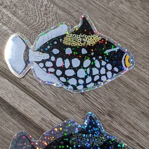 Puede incluir: Dos pegatinas de peces holográficas iridiscentes. La pegatina superior es negra y blanca con una mancha amarilla. La pegatina inferior es negra con purpurina azul y verde iridiscente.