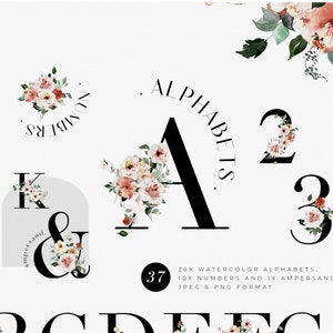 Alphabet Clipart Watercolor Alphabet Letters Clipart Watercolor Floral Clipart Lettering Clipart Numbers Clipart Alphabet PNG Monogram Font