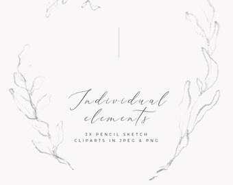 Botanical Line Art Handdrawn Clipart PNG Wreath Clipart Leaf Wreath PNG Fine Art Graphic Botanical Design Elements PNG Leaves Wreath Logo
