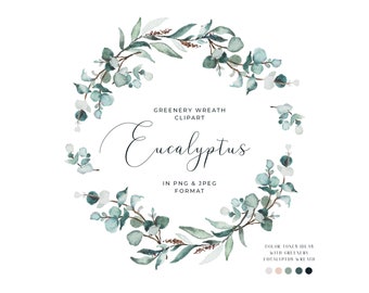 Watercolor Eucalyptus Clipart Greenery Clipart Eucalyptus Wreath Watercolor Frame Watercolor Floral Clipart Botanical Clipart Summer Clipart