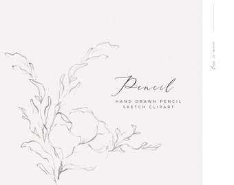 Botanical Clipart Flower Line Art PNG Feminine Design Floral Line Clip Art Hand Drawn Clipart Floral Clipart Fine Art Wreath Wedding Clipart