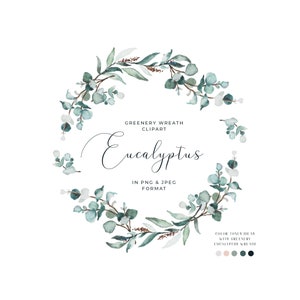 Watercolor Eucalyptus Clipart Greenery Clipart Eucalyptus Wreath Watercolor Frame Watercolor Floral Clipart Botanical Clipart Summer Clipart