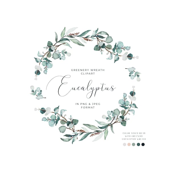 Watercolor Eucalyptus Clipart Greenery Clipart Eucalyptus Wreath Watercolor Frame Watercolor Floral Clipart Botanical Clipart Summer Clipart