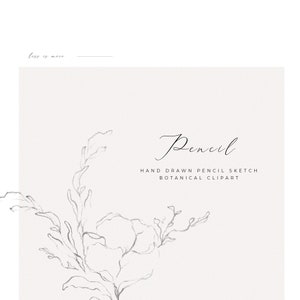 May include: A hand-drawn pencil sketch of a botanical illustration. The sketch is in black and white and features a delicate floral design. The text "Pencil" is written in cursive above the illustration, and the text "Hand Drawn Pencil Sketch Botanical Clipart" is written below the illustration.