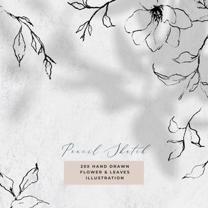 Botanical Clipart Wedding Stationery Clipart Leaves Clipart Wedding Flower Line Art Flower Outline Graphics Botanical Line Art Clipart PNG