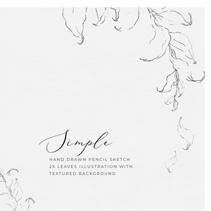 Folhagem desenhada à mão clipart artigos de papelaria de casamento clipart folhas belas artes convite clipart esboços a lápis folhas desenho de linha botânico png