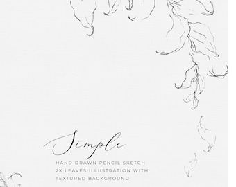 Hand Drawn Foliage Clipart Wedding Stationery Clipart Leaves Fine Art Invitation Clipart Pencil Sketches Leaves Line Drawing Botanical PNG