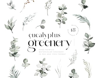 May include: A set of 18 hand-painted watercolor eucalyptus greenery illustrations in PNG and JPEG format. The illustrations feature various shades of green and are perfect for adding a touch of nature to your designs.