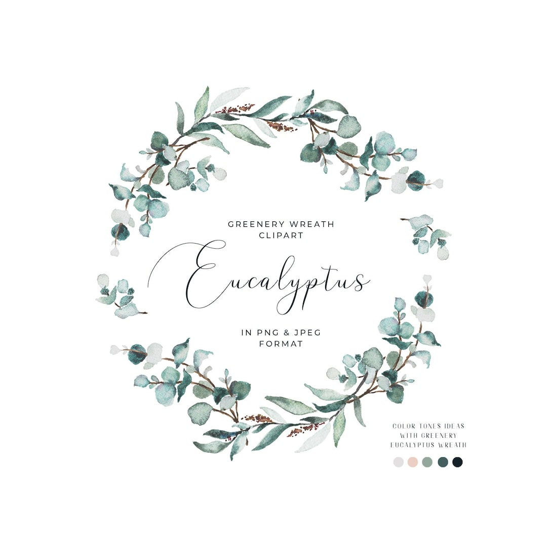 Watercolor Eucalyptus Clipart Greenery Clipart Eucalyptus Wreath ...
