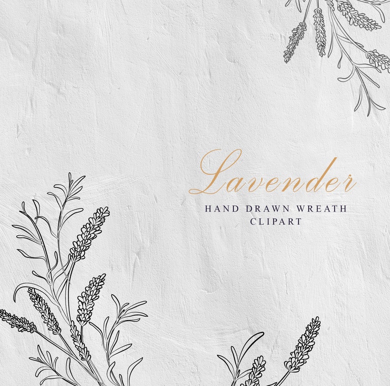 K&ouml;nnte beinhalten: Schwarz-wei&szlig;-Zeichnung von Lavendelbl&uuml;ten auf wei&szlig;em, strukturiertem Hintergrund. Der Text "Lavender Hand Drawn Wreath Clipart" befindet sich unter den Bl&uuml;ten.