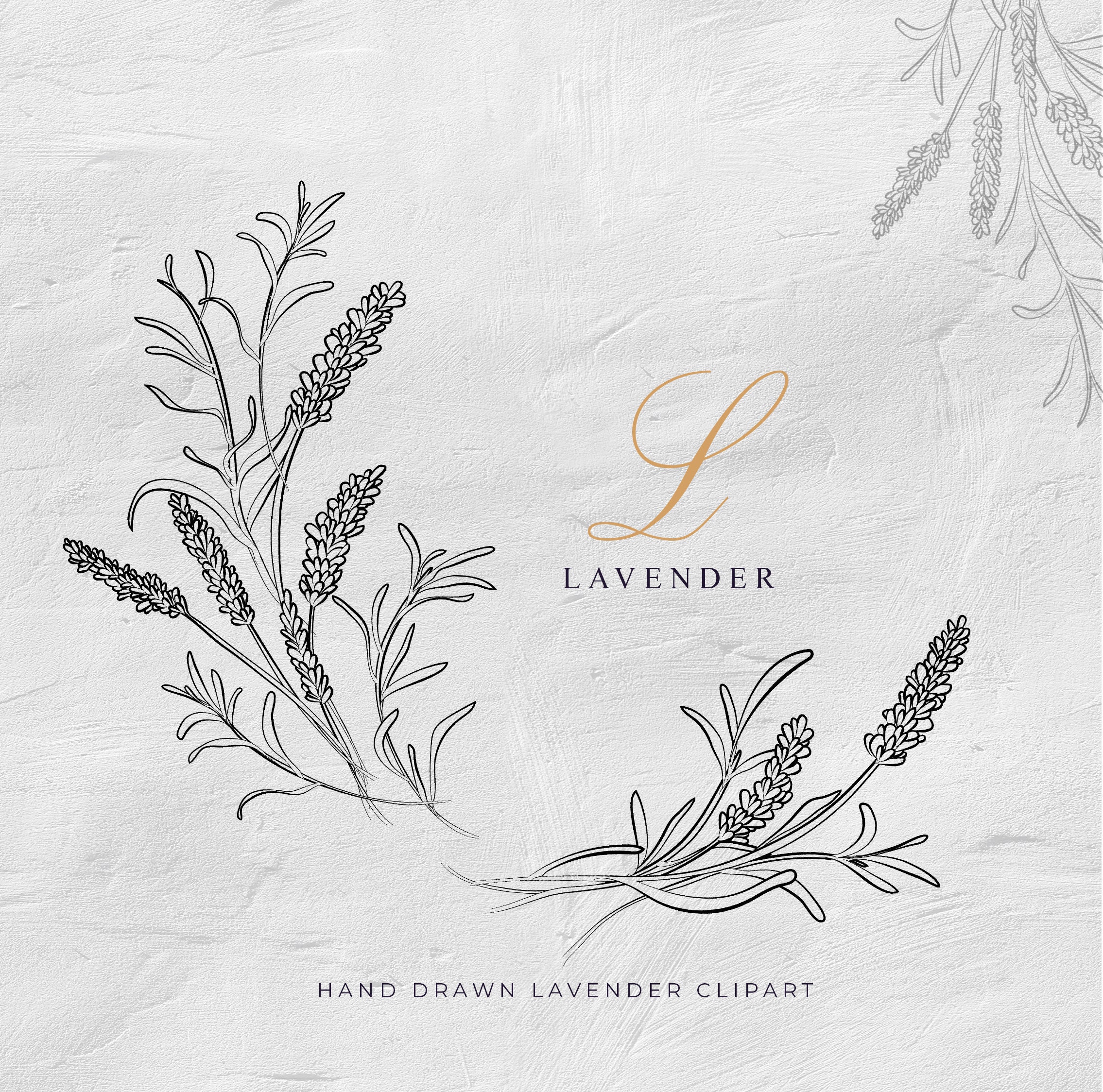 Lavender Clipart Lavender Wreath Digital Download Floral - Etsy