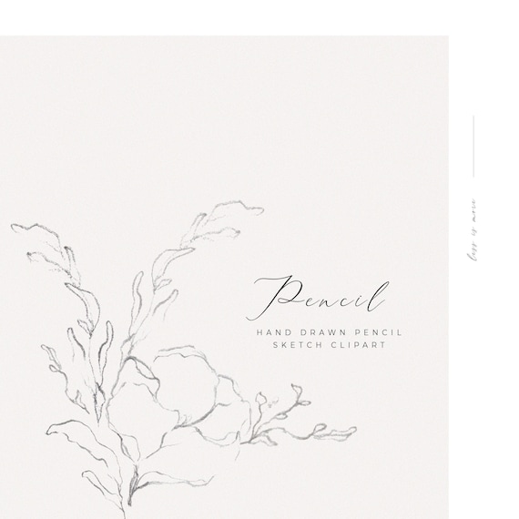 Botanical Clipart Flower Line Art PNG Feminine Design Floral Line Clip Art Hand Drawn Clipart Floral Clipart Fine Art Wreath Wedding Clipart