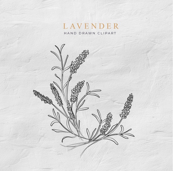 images Outline Lavender Clipart Black And White lavender clipart lavender wreath digital download floral illustration frame clipart hand drawn flower outline botanical free commercial use