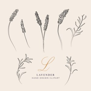 K&ouml;nnte beinhalten: Ein Satz handgezeichneter Lavendel-Illustrationen in Schwarzwei&szlig;. Die Illustrationen umfassen verschiedene Stile von Lavendelzweigen, darunter einzelne Stiele und B&uuml;schel. Die W&ouml;rter "LAVENDEL" und "HANDGEZEICHNETE CLIPART" sind in einer goldenen Schriftart geschrieben.