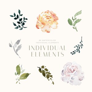 May include: A set of eight watercolor illustrations featuring delicate floral elements. The illustrations include two roses, one in peach and one in pink, and six sprigs of leaves in various shades of green.