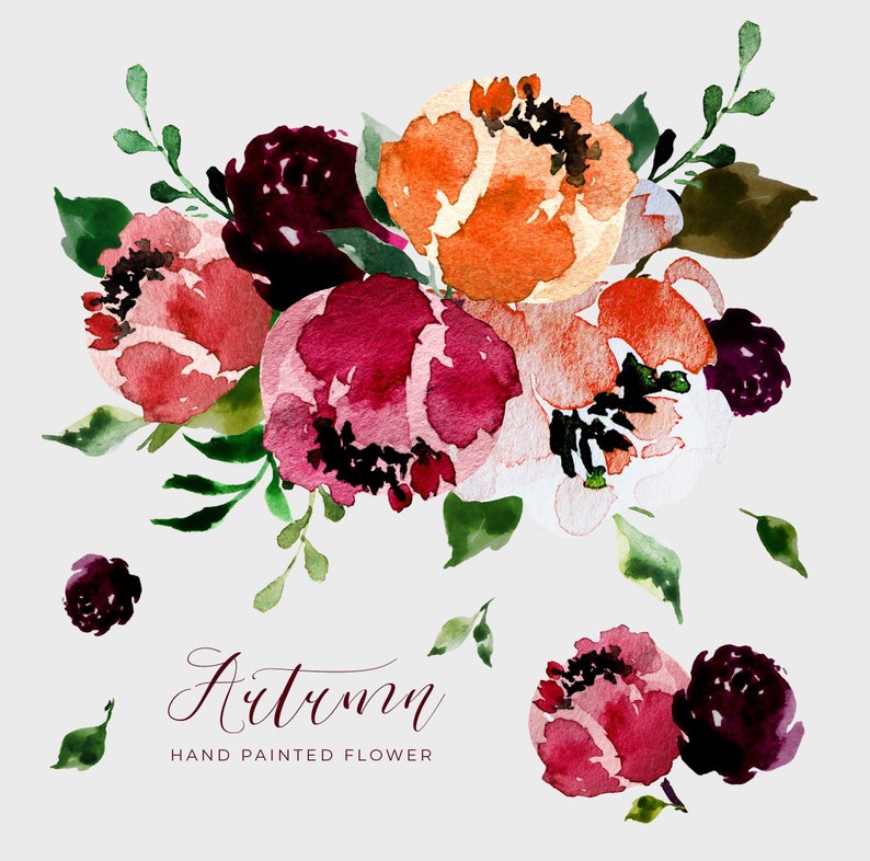 May include: Watercolor floral arrangement featuring blooms in shades of burgundy, orange, and pink, accented with green leaves. The text "Autumn Hand Painted Flower" is written in a script font. Ideal for fall-themed designs.