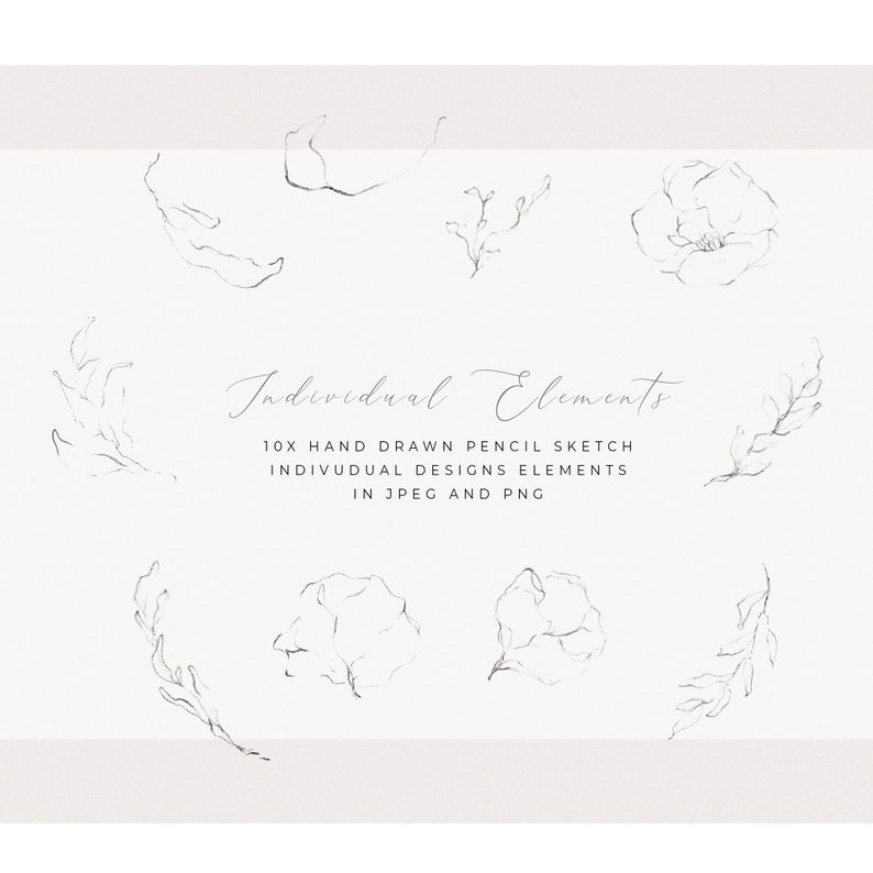 May include: A set of 10 hand-drawn pencil sketches of floral elements. The sketches are in black and white and feature various flowers, leaves, and branches.