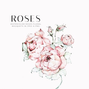Rose Clipart Watercolor Floral Clipart Watercolor Roses PNG Pink Flowers Clipart Watercolor Flowers Hand Drawn Clipart Wedding Hand Painted