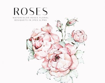 Clipart de rosas, clipart floral de acuarela, rosas de acuarela PNG, clipart de flores rosas, clipart de flores de acuarela, clipart dibujado a mano, clipart de boda pintado a mano
