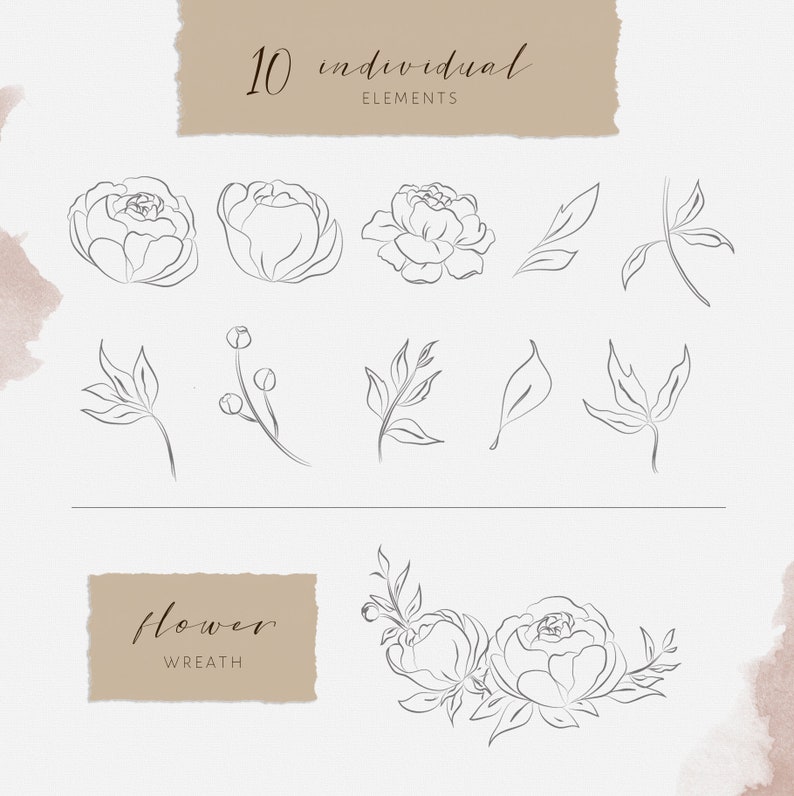 Peonies Flower Clipart Peony Element Floral Wreath Clipart Hand Drawn Flower Leaves Clipart Bouquet Clipart Line Art Wedding Clipart Leaf image 2
