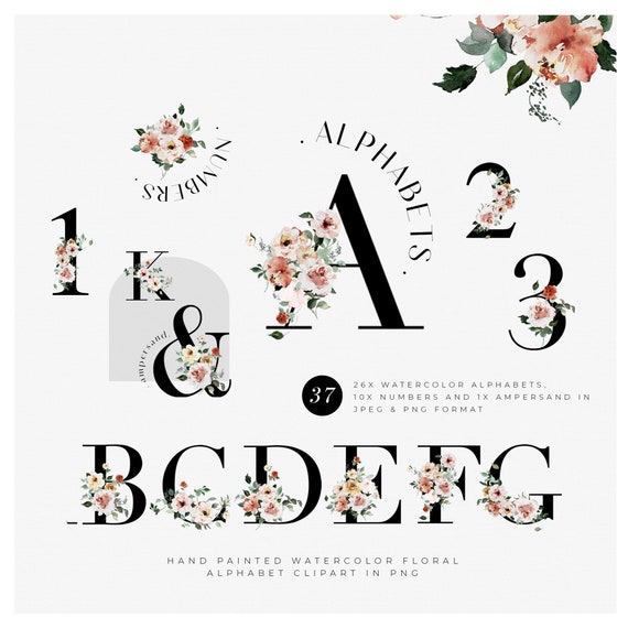 Alphabet Clipart Watercolor Alphabet Letters Clipart Watercolor Floral Clipart Lettering Clipart Numbers Clipart Alphabet PNG Monogram Font