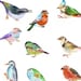 Colorful Birds Decals, 12-set Bird Wall Decals, Furniture Decals ...
