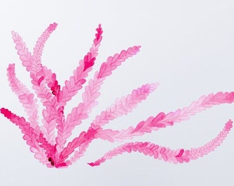 Seagrass Decal in Shades of Pink for Tiles, Walls and Cabinets, Bathroom Décor, Bathroom Decals, Under Sea World Watercolor Decals