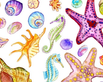 Wall Decals Sea Shells, Starfish Decals, Sea Life Decals for Bathroom, Hand-Painted Nautical Decals, Bathroom Decor, Undersea Wall Decor