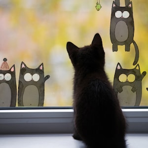NEW Window Decals Funny Cats 8-Set - 5 Colours- Cats Art Decoration - Window and Glass Decor
