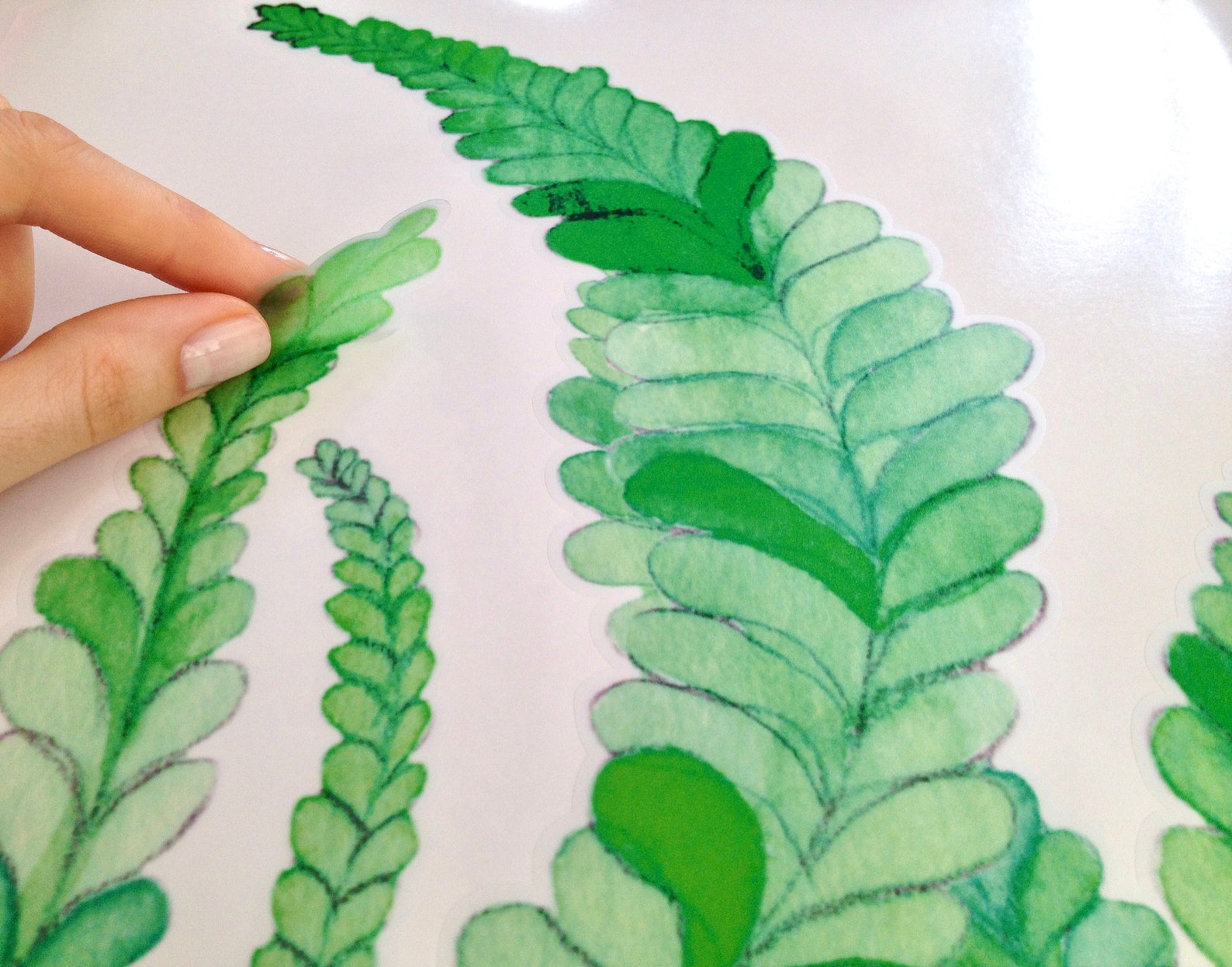 Seagrass Decal in Shades of Green for Tiles Walls and Etsy