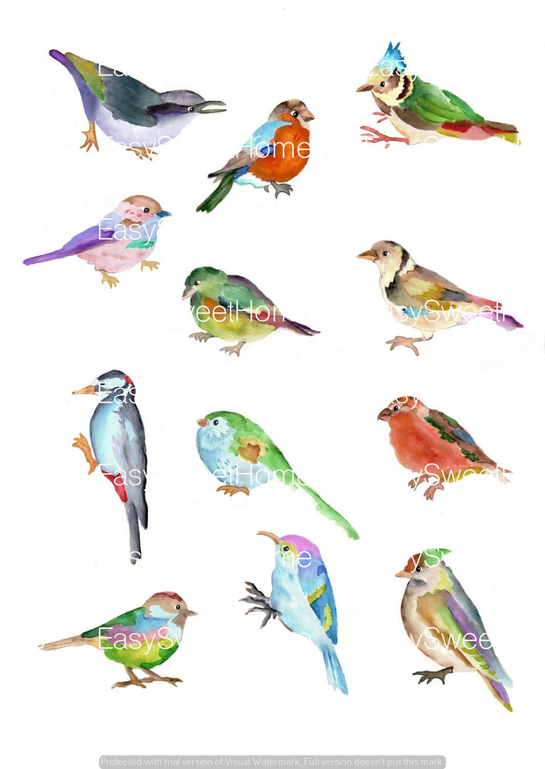 Colorful Birds Decals 12set Bird Wall Decals Furniture Etsy Canada