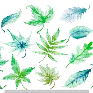May include: Watercolour painting of various green and blue leaves, including maple, oak, and fern leaves. The leaves are painted in a realistic style with subtle variations in colour and texture.